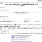Акрис - курсы академического рисунка, подготовка к экзамену. Справка о самозанятости Прыгунова Л. Ю.